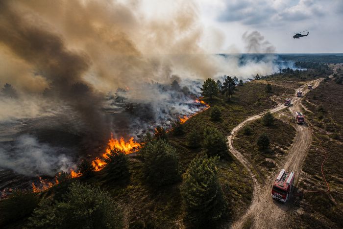 Grote natuurbrand op militair oefenterrein
